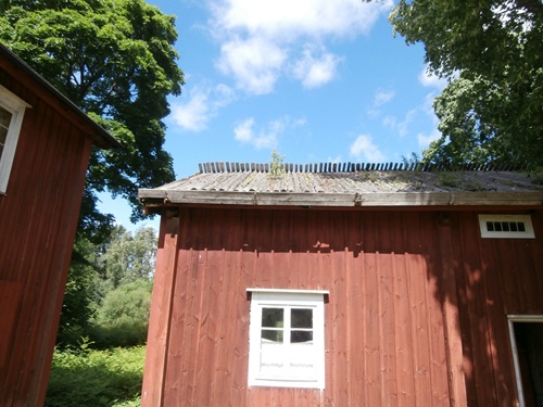 puitakatolla
